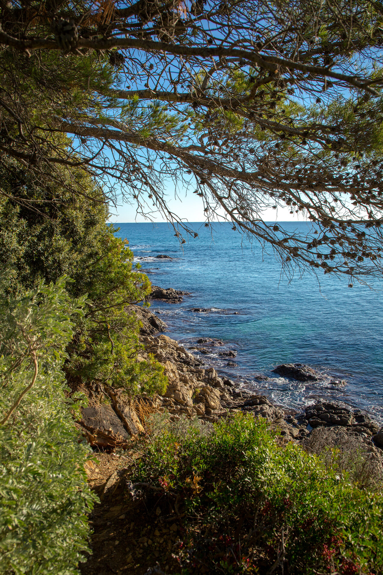 calanques issambres