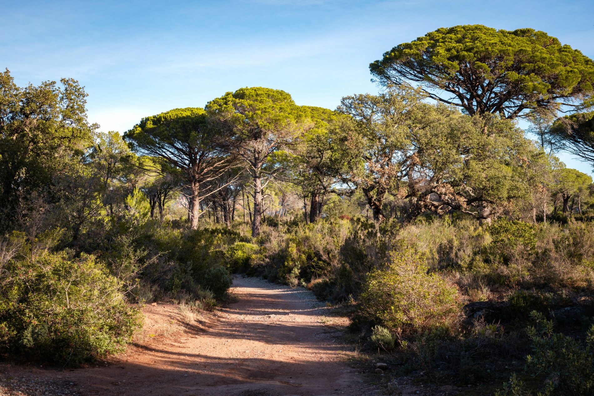 lac de cœur sentier novembre